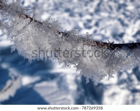 Snowy winter in Ukraine, winter wonderland