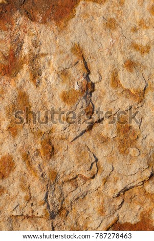 stone textue ,rock surface ,boulder skin