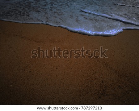 sea sand on the beach
