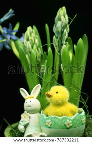 the toy Easter bunny and duck with spring plants hyacinth and black background, sitting in a egg, the blossoms are closed,  one violet hyacinth blossom is open, the photo is green, yellow and violet