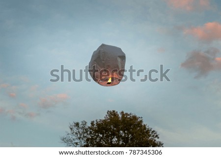 Chinese lantern floats into sunset above tree.