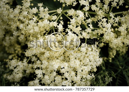 Wedding rings on white flowers