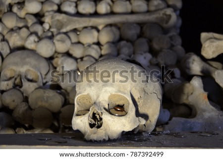 The exposed skull