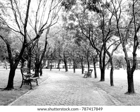 Black and white walkway in the park