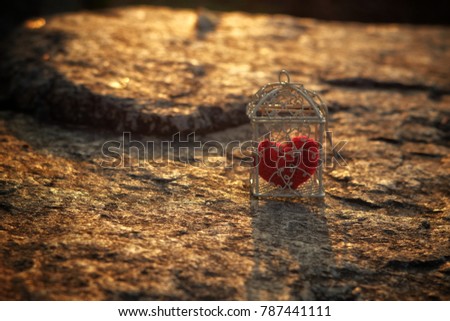 Red crochet heart in cage on stone in evening light at park,love concept,valentine's day,Blurred and Selective focus