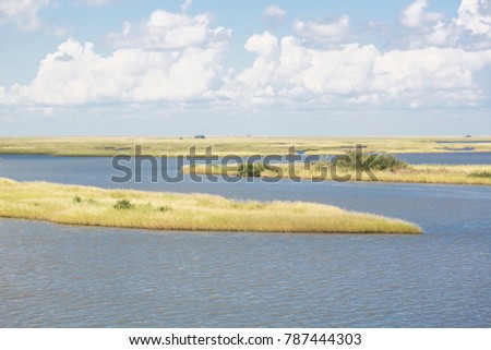 Louisiana Marsh Landscape Royalty-Free Stock Photo #787444303