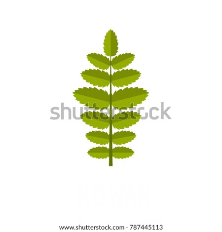 Rowan leaf icon. Flat illustration of rowan leaf vector icon isolated on white background