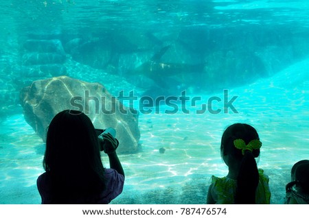Girls watching a fish tank