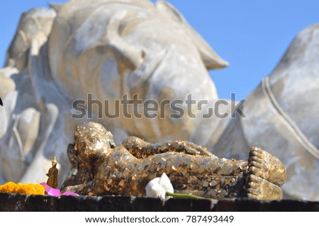 Sleeping buddha before a sleeping buddha