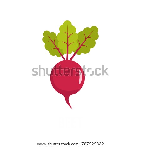 Beetroot icon. Flat illustration of beetroot vector icon isolated on white background Royalty-Free Stock Photo #787525339