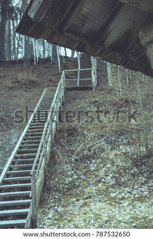 old wooden boardwalk covered with leaves in ancient forest with mossy tree trunks - vintage film look