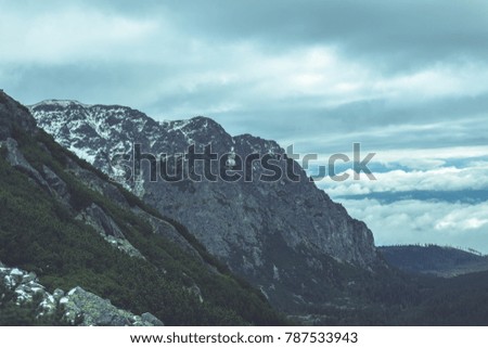slovakian carpathian mountains in autumn. hiking trail on top of the mountain. sunny day for travel. green hills with tops covered in first snow and white clouds above - vintage film look