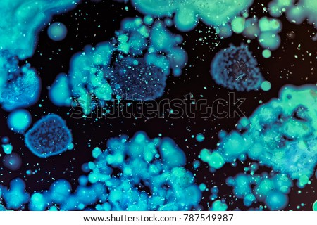 Macro photography of colorful wild growing bacteria colonies and molds in a petri dish forming all kinds of beautiful patterns and shapes.