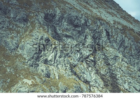 slovakian carpathian mountains in autumn. rock textures on walls of hills. sunny day for travel - vintage film look
