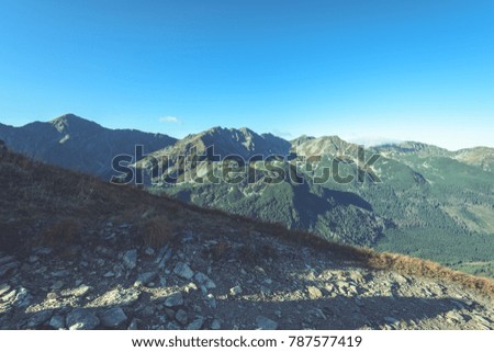 slovakian carpathian mountains in autumn. hiking trail on top of the mountain. sunny day for travel - vintage film look