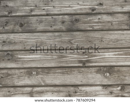 Texture of a tree, wood vintage background, aged