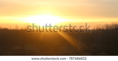 Sunset above a forest 