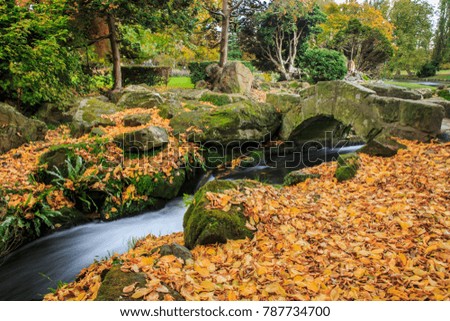 A Stone bridge in Autumn