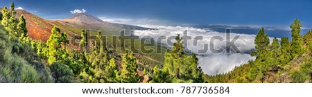 Panorama of the volcano Teide and Orotava Valley - view from Mirador La Crucita (Tenerife, Canary Islands)  Royalty-Free Stock Photo #787736584