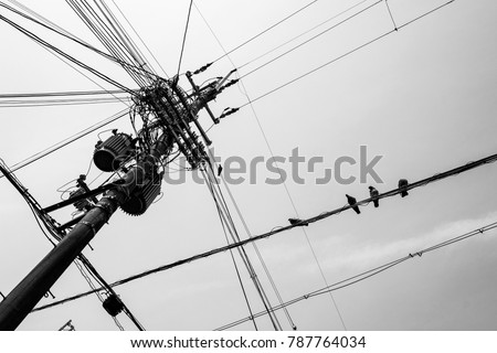 Japan Power Line Cable Pole Black and White 