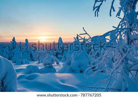 Winter landscape in Lapland Finland