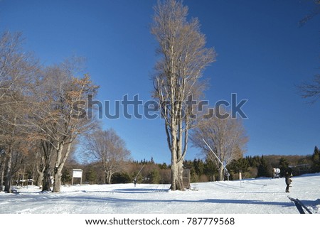 Winter wonderland, mountain, snow and winter sports 