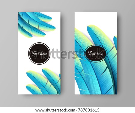 Vector design of leaflet with print of colorful bird feather