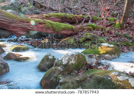 Picture of a frozen creek running under fallen trees