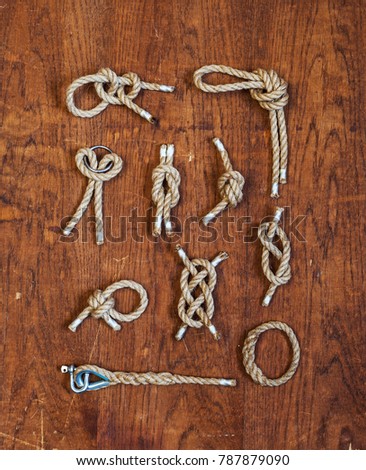 different sea knots on a wooden background
