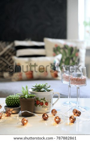 Photo of succulent Centerpiece home decor