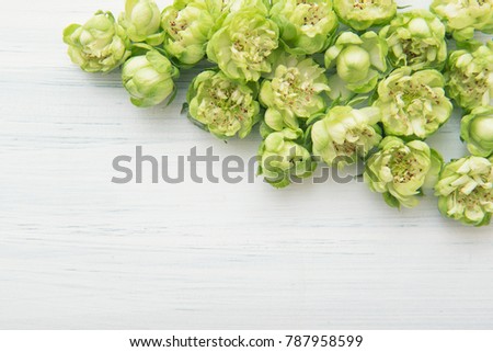 Green miniature rose