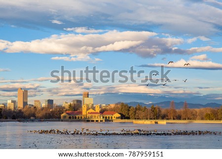 Flying Geese at Ferril Lake in Denver City Park