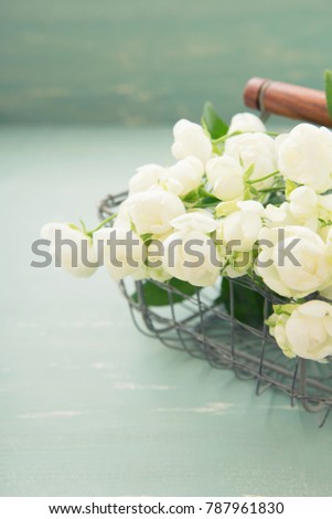White miniature rose