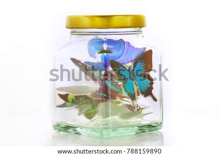 Butterfly in the glass jar. Save the earth concept. Love nature before lost. 