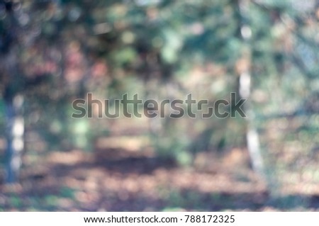 abstract nature background with various green trees