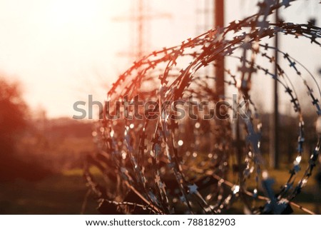 Barbed wire close-up. Conclusion, restriction of freedom.