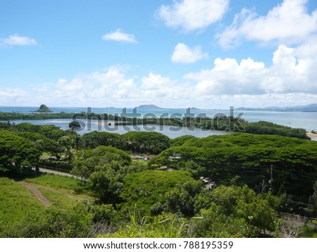 Beautiful landscape at Kualoa Ranch in Oahu, Honolulu, Hawaii, USA. Copy Space