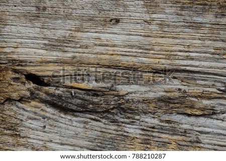 Old wood background concept
