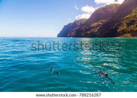 Beautiful dolphins swimming in the waves by the Na Pali cliffs near Kauai island. Hawaii Pacific Ocean wildlife scenery. Marine animals in natural habitat.