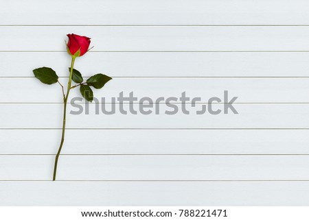 Rose red on white wooden table.Love with Happy day celebration with valentine day with greeting card, illustration. copy space Royalty-Free Stock Photo #788221471