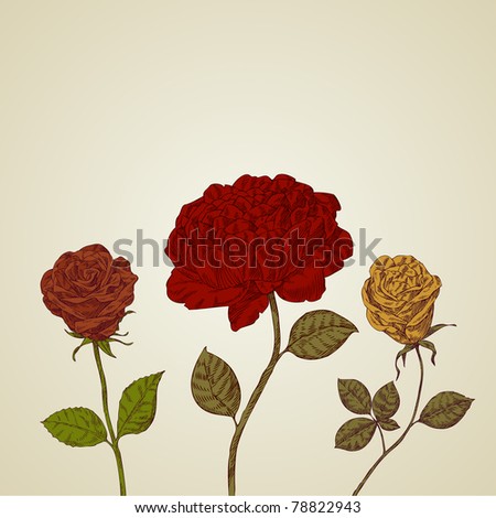 Retro roses Royalty-Free Stock Photo #78822943