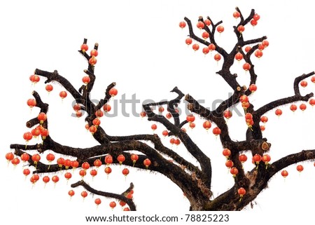 red chinese lanterns hanging on tree isolated on white background