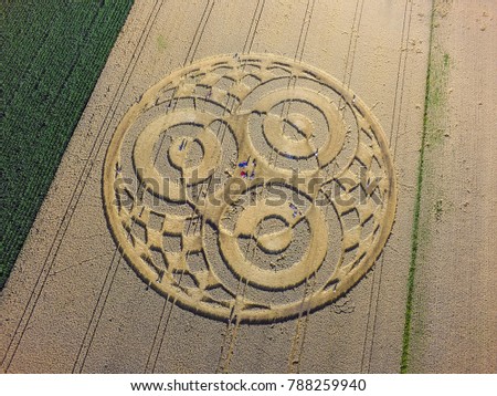 Crop circle in a cornfield at Rasiting, Upper Bavaria, Bavaria, Germany, Europe Royalty-Free Stock Photo #788259940