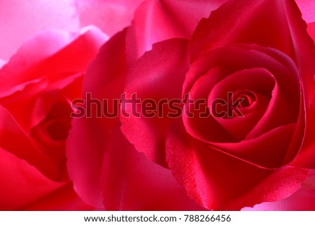 Valentine's Day background with roses, red papers background or other occasions with copy space. Or any other abstract background.
