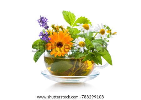 Cup of herbal tea isolated on white background
