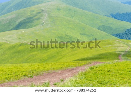 Green bright hills and ridge in summertime mountains