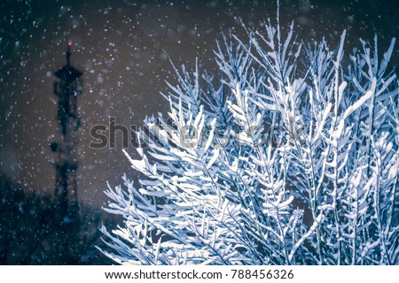 Beautiful frozen snowy tree at night in snowing weather with cell phone transmitter tower telecommunication antenna  in background