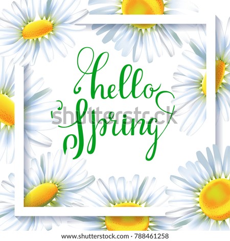 Greeting card, floral background with daisies. Easter background.