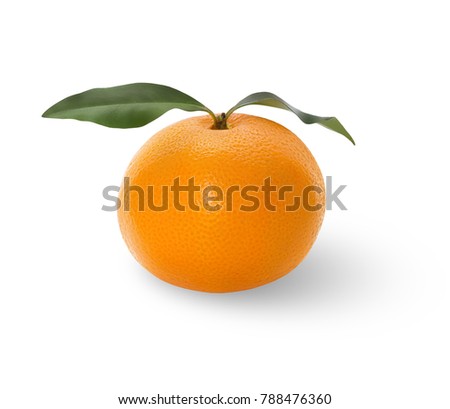 Tangerine isolated on white background. Fruit with clipping path