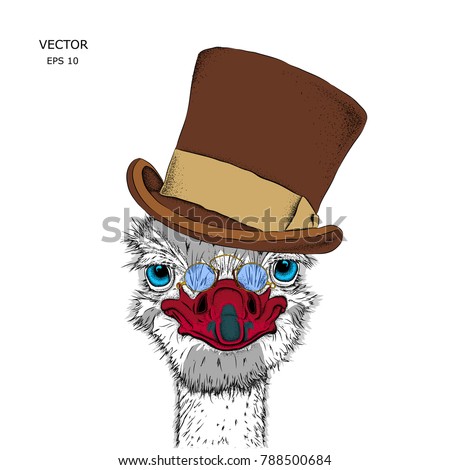 Portrait of a ostrich in a hat. Can be used for printing on T-shirts, flyers, etc. Vector illustration